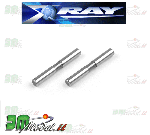 307221 T2 Front Arm Pivot Pin (2)