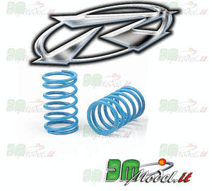 RAYSPEED BLUE SHOCK SPRINGS