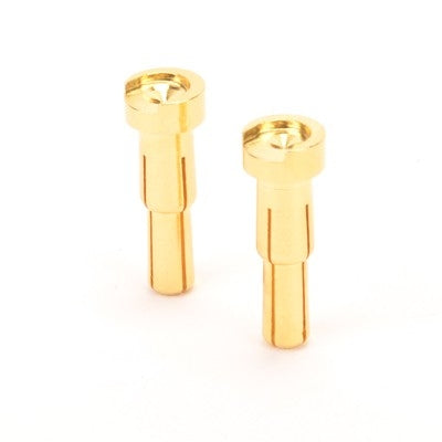 RUDDOG 4/5mm Dual Bullet Gold Plug Male (2pcs)